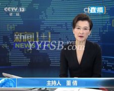 圖組：央視女主播服裝悄然改變 黑色深V很性感