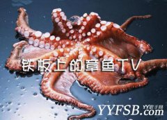 曾經的體育直播巨頭章魚TV開始欠薪了